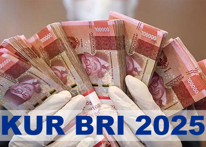Syarat Pinjam KUR BRI, Ini Cicilan Per-Bulan Pinjaman Rp 50 Juta dan Rp 100 Juta