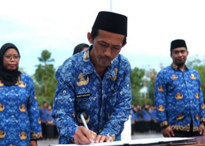 PPPK Paruh Waktu Mulai Mendapat Perhatian, Taspen Tetapkan Hak Jaminan Pensiun