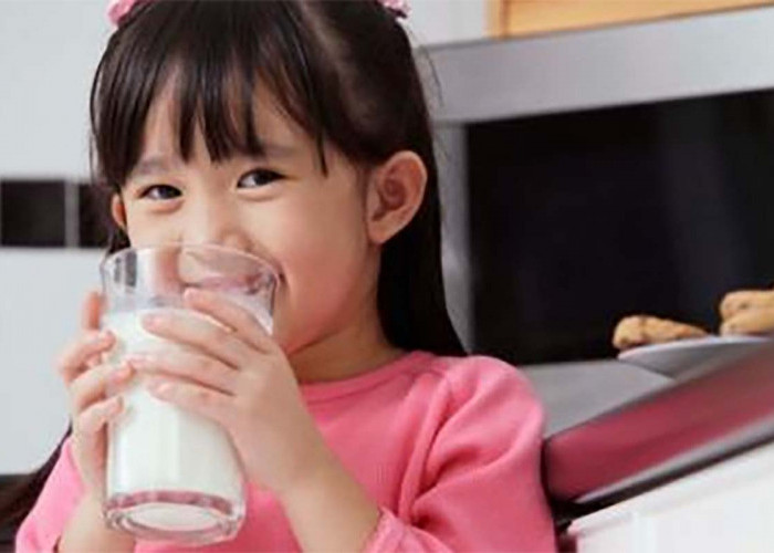 Susu Formula Berbasis Nabati: Antara Keuntungan dan Kerugian