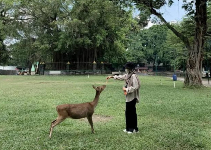 Belum Datang ke Solo Bila Belum Bekunjung ke Tempat Wisata Indah Tapi Murah, Ini Rekomendasinya