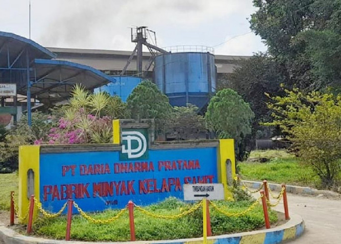 Berkat Perpanjangan HGU PT.DDP, Realisasi BPHTB Mukomuko 2025 Tembus Rp 2,8 Miliar