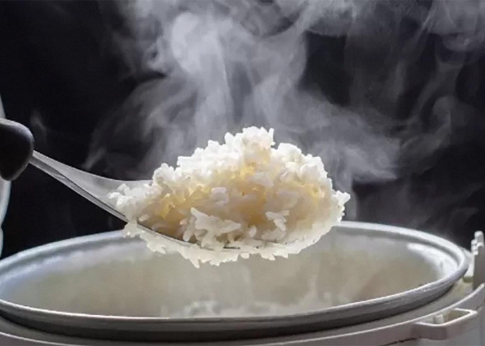 Tips Mudah Membuat Nasi Agar Tidak Kering dan Keras di Rice Cooker