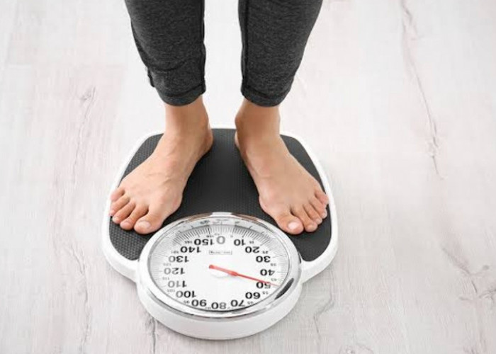 Anda Ingin Menurunkan Berat Badan? Tak Perlu Diet, Konsumsi Sejumlah Makanan Ini Bisa Menghilangkan Lemak