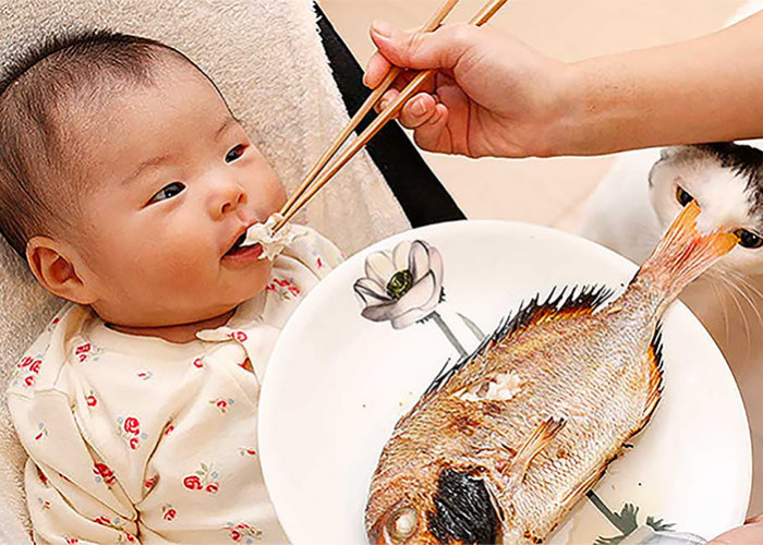 Budayakan Anak Makan Ikan, 5 Ikan Ini Dapat Meningkatkan Kecerdasan Anak, Simak Ulasannya