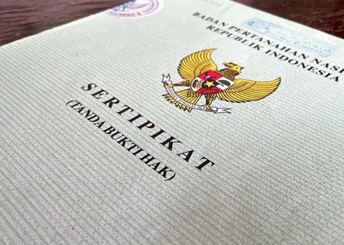 Estimasi Biaya dan Syarat Pemecahan Sertifikat Lahan 2025