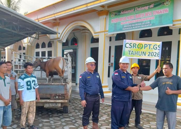 CSR Tahunan, PT GSS Salurkan 8 Ekor Hewan Qurban ke Desa Dampingannya