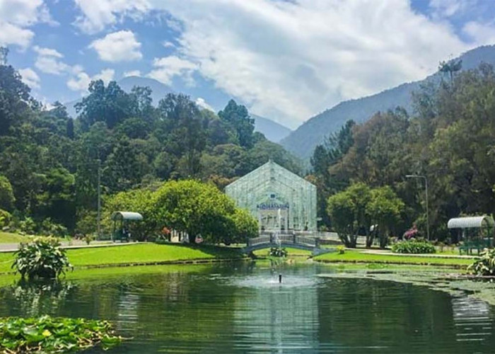 Bikin Hati Adem dan Tenang! Inilah Keindahan Wisata Kebun Raya Cibodas