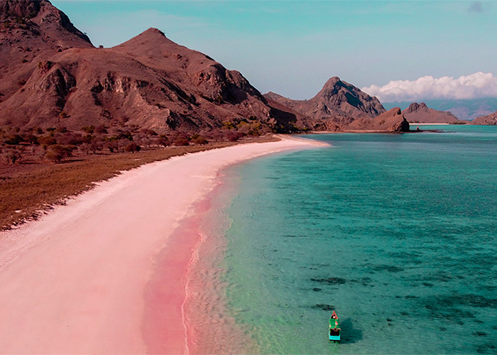 Memiliki Hamparan Pasir Warna Pink Pulau Padar di Taman Nasional Komodo, Cocok Buat Honeymoon