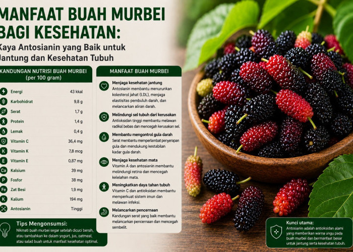 Manfaat Buah Murbei bagi Kesehatan: Kaya Antosianin yang Baik untuk Jantung dan Kesehatan Tubuh