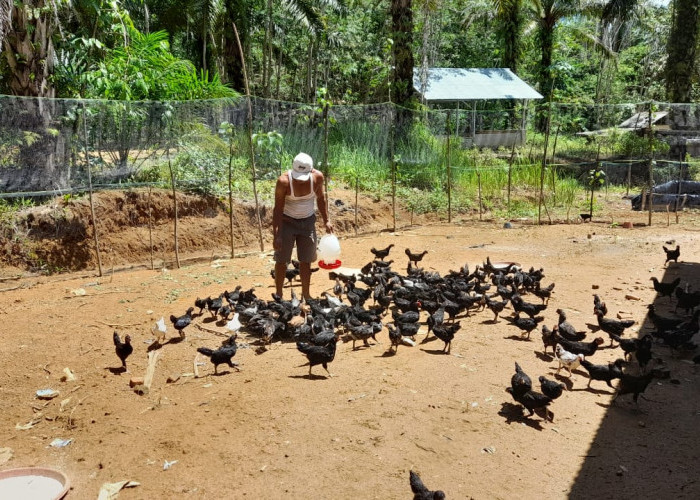 Bandar Jaya Kaji Ulang Program Ayam KUB 