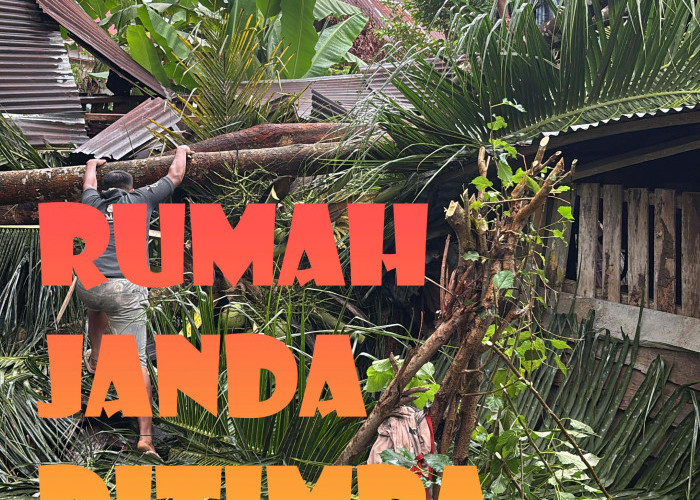 Rumah Janda Hancur Tertimpa Durian dan Kelapa Saat Badai, Di Pondok Panjang Mukomuko 