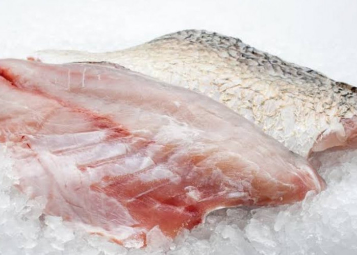 Pakai Trik Ini, Dijamin Pengawet Rontok Pada Ikan, Agar Lebih Aman Dikonsumsi