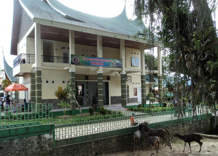 Kebun Binatang Bukittinggi Ternyata Taman Margasatwa Tertua di Indonesia