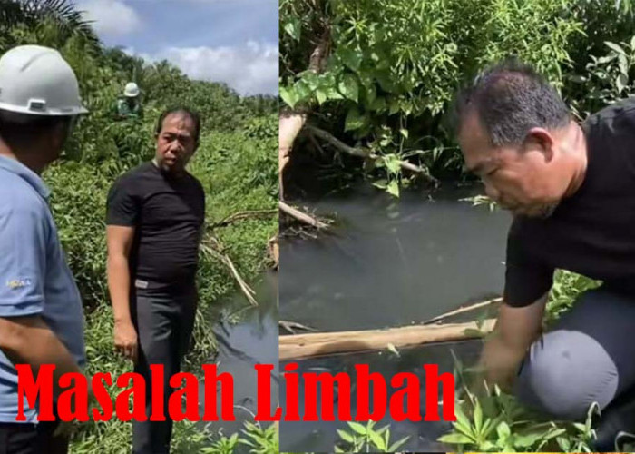 Diklaim Lumut, Anggota Komisi III Sempat Minta Petugas Perusahaan Nyebur ke Sungai Yang Hitam Diduga Limbah