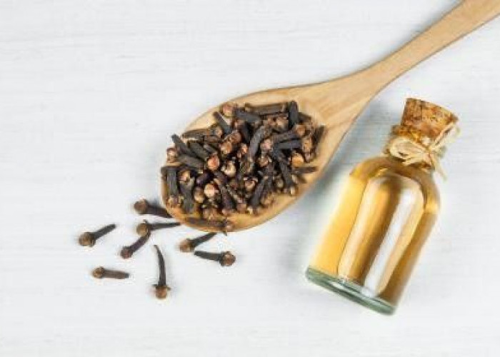 Cara Menggunakan Cengkeh untuk Kesehatan: Minyak Cengkeh, Teh Cengkeh, dan Ramuan Tradisional!