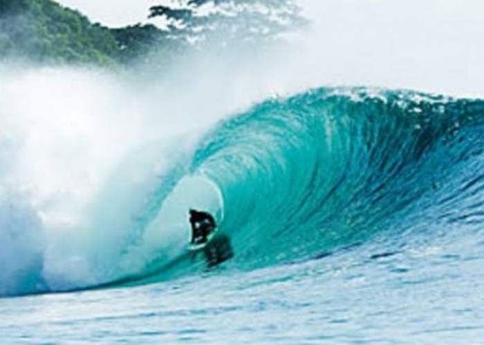 Miliki Ombak Pantai Terbaik di Dunia, Ini Dia Rekomendasi Pantai di Indonesia Bagi Pecinta Surfing