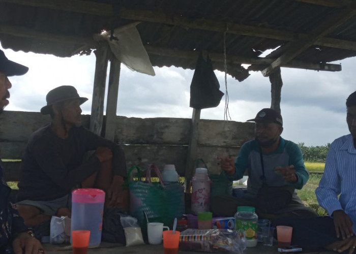Rugikan Petani, DPRD Mukomuko Minta Tinjau Ulang Jadwal Pengeringan Irigasi Manjuto Kiri