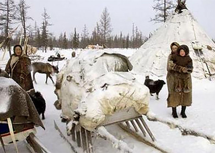 Kayak Jorok, Suku Nenets, Hidup di Arktik Rusia dengan Migrasi Setiap Tahun Terpanjang di Dunia