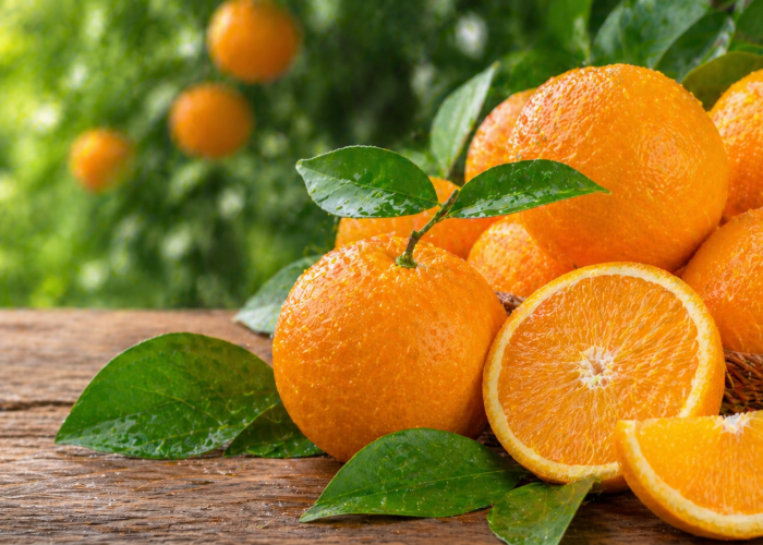 Manfaat buah jeruk bagi Kesehatan: Segar, Asam Manis, dan Kaya Vitamin C