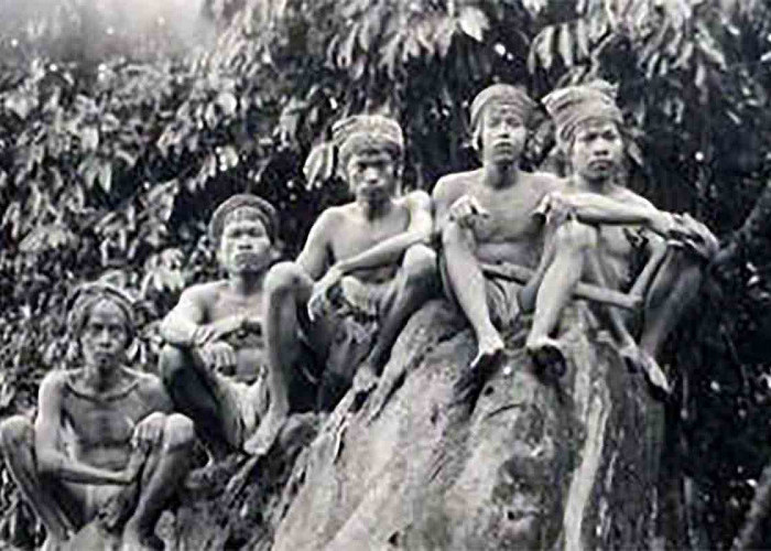 Suku Kalang Punya Ekor, Ternyata Pernah Kalahkan Suku Dayak, Padahal Dikenal Sakti