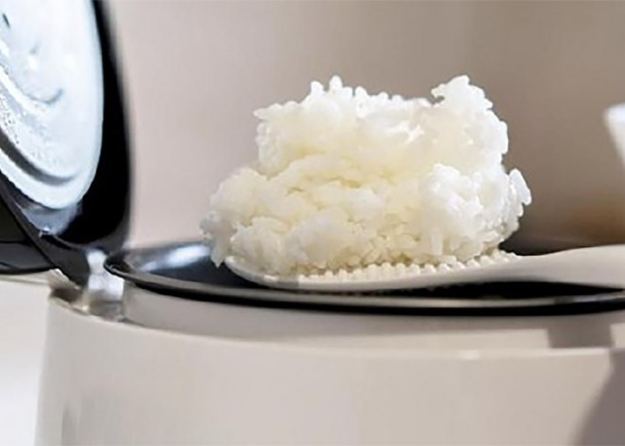 Sering Membiarkan Nasi Terlalu Lama di Rice Cooker? Begini Dampaknya Bagi Kesehatan 
