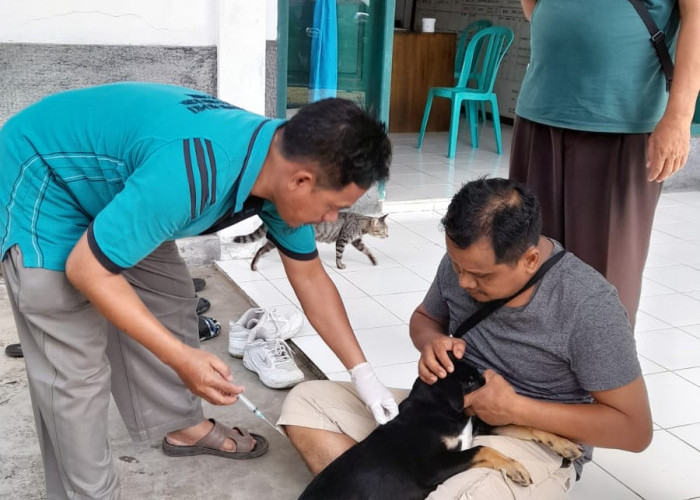 Pastikan Vaksin Cukup, Dinas Pertanian Dorong Warga Vaksinasi HPR Secara Berkala