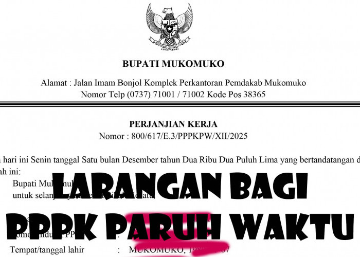 Larangan Bagi PPPK Paruh Waktu, Jika Melanggar Bisa Dipecat Atau Kontrak Tidak Diperpanjang