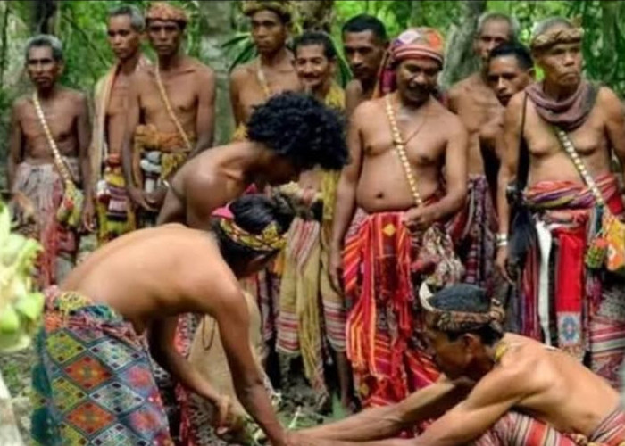 Tradisi Sunat Bambu Suku Atoni Meto, Diminta Berhubungan dengan Wanita Asing