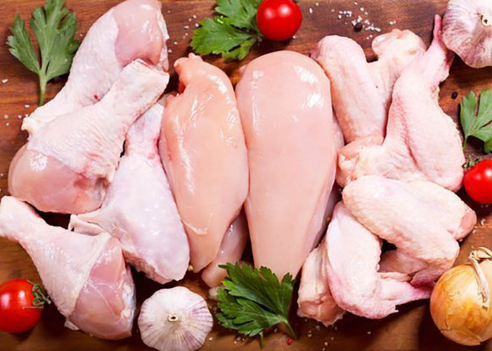 Perhatikan! Inilah Bagian-bagian Dari Ayam Jangan Terlalu Sering Dikonsumsi