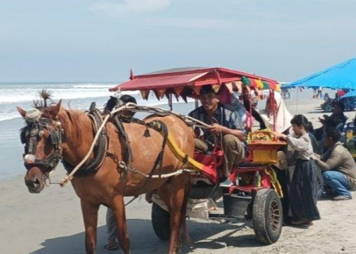 Kusir Delman di Bengkulu Raih Keuntungan Berkali-kali Lipat Selama Libur Lebaran