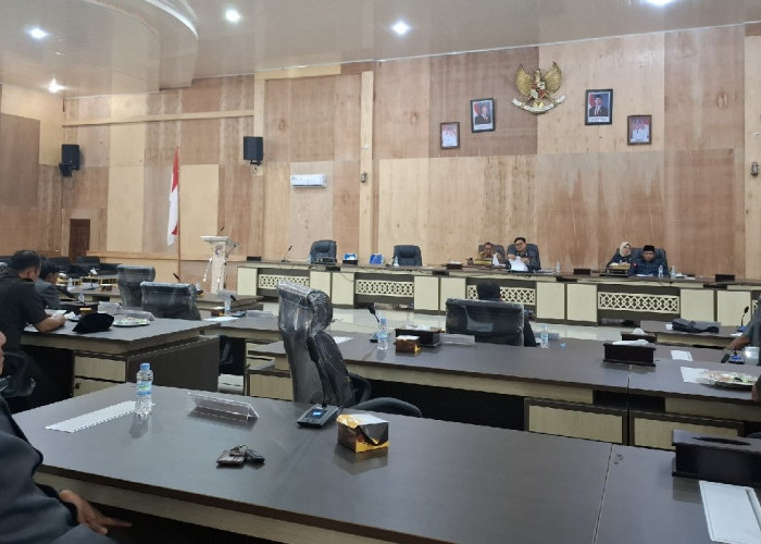 Pansus Inginkan Raperda RPJMD Mukomuko 2025-2029 Lebih Terarah