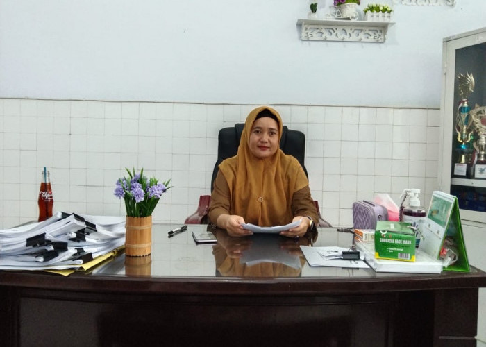 Pasca Lebaran, Dispepsia dan Febris Jadi Penyakit Terbanyak di Puskesmas Lubuk Pinang