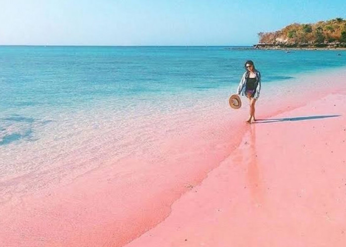 3 Keindahan Utama Pantai Pink di Lombok, Salah Satunya Pasirnya yang Berwarna Pink
