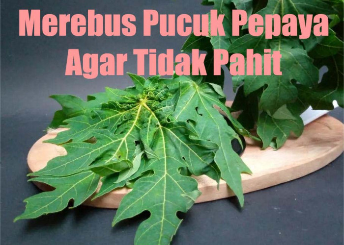 Pilihan Cara Merebus Daun Pepaya Supaya Tidak Pahit dan Renyah Dimakan 