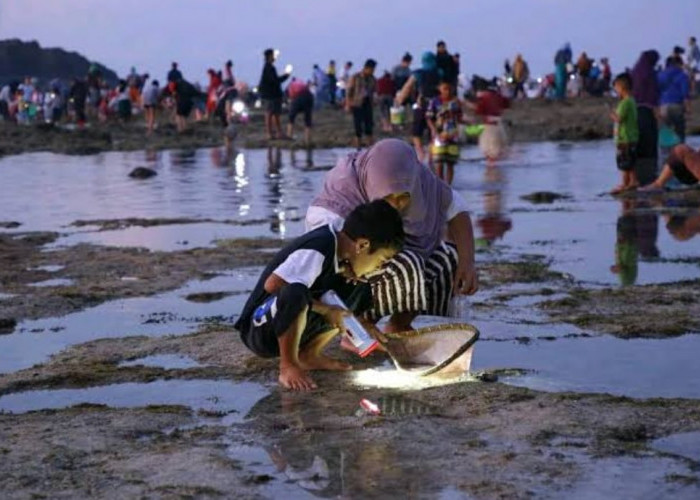 Bukan Sekadar Menangkap Cacing Laut, Ini Makna dan Asal-Usul Tradisi Bau Nyale di Lombok