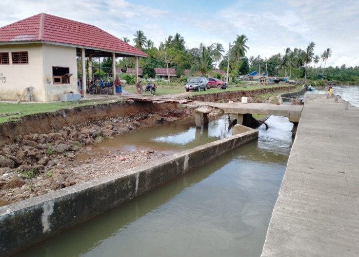 Tanggul di TPI Pulau Makmur Mukomuko Ambrol, Erosi Ancam Permukiman Penduduk  