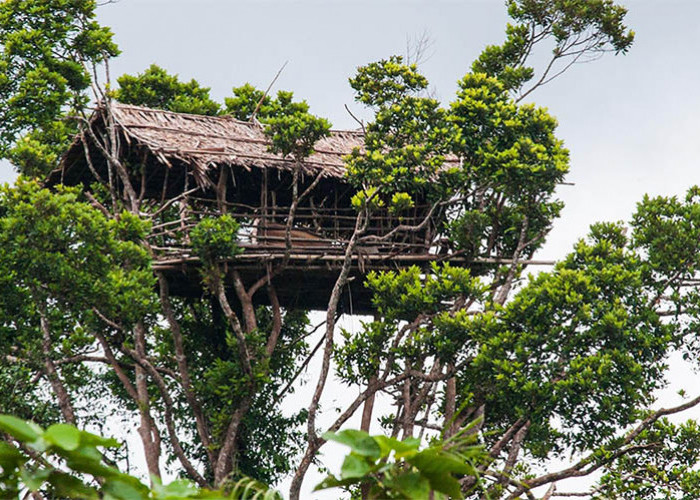 8 Suku Asli Indonesia Yang Tetap Mengasingkan Diri dari Peradaban Modern Hingga Terancam Punah