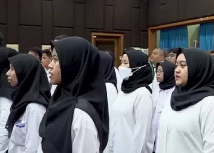 Pejabat Dilarang Terima Honorer Baru, Jika Terjadi Ini Sanksinya