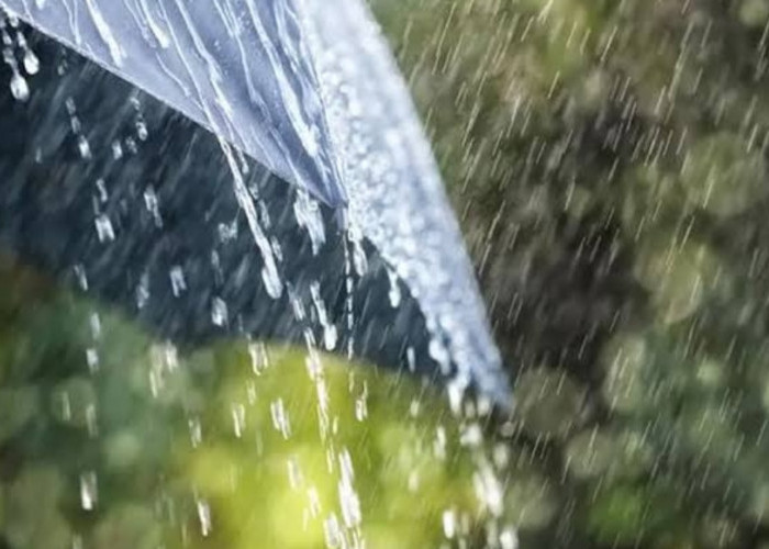 Update Peringatan Dini Cuaca, Berpotensi Hujan Deras dan Angin Kencang