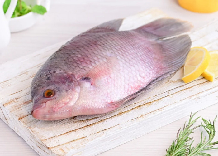 Berikut Beberapa Manfaat Kesehatan yang Didapatkan Ketika Mengkonsumsi Ikan Gurame, Apa Saja Ya?