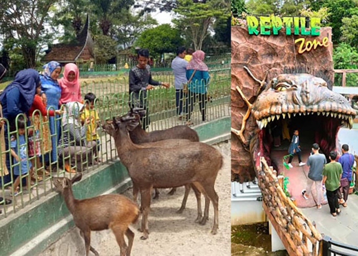 Taman Margasatwa Tertua, Kebun Binatang Bukittinggi Juga Mengoleksi Fosil