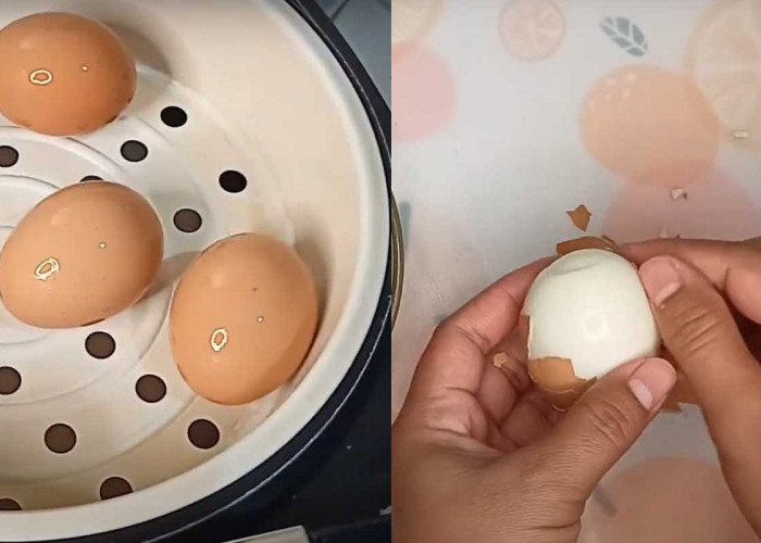 2 Cara Merebus Telur Menggunakan Magic Com Agar Mudah Dikupas dan Tidak pecah