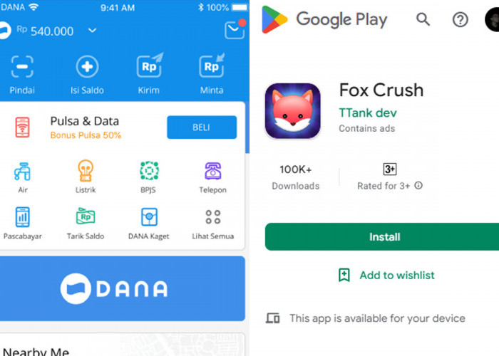 Bisa Untuk Uang Jajan, Begini Cara Mendapatkan Saldo DANA Gratsi Melalui Game Fox Crush