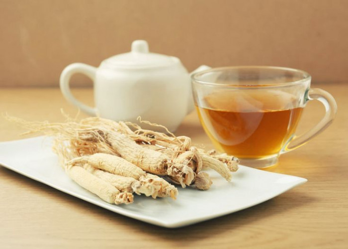Ginseng dalam Pengobatan Tradisional: Warisan Budaya yang Terbukti Khasiatnya!