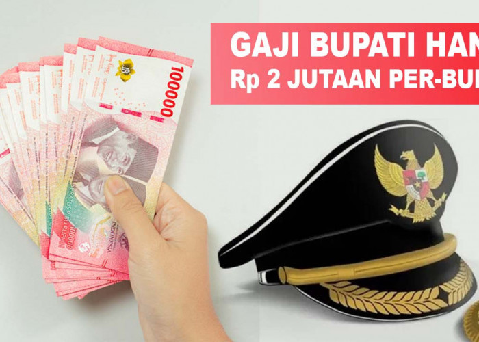 Ternyata Gaji Bupati Hanya Rp 2 Jutaan Per-bulan, Tambahannya Ini