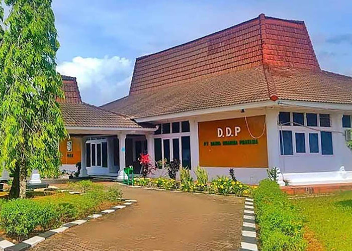 DDP Klaim Lahan yang Mereka Panen Resmi Milik Perusahaan