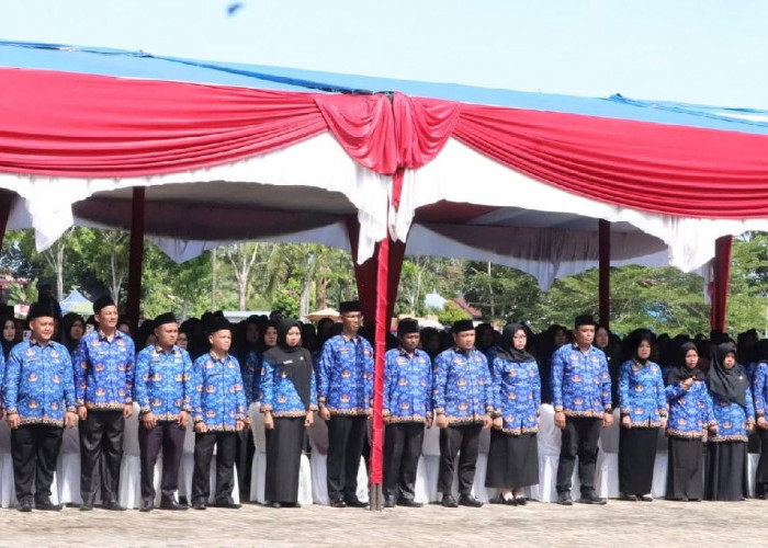 634 Honorer Menjadi ASN, SK PPPK Berlaku Selama Jangka Lima Tahun 