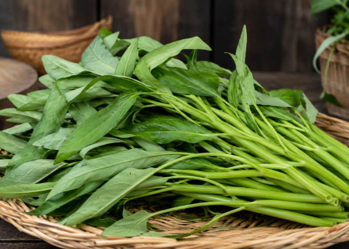 Manfaat Kangkung bagi Kesehatan: Sayuran Hijau Lokal dengan Kandungan Nutrisi Menyehatkan