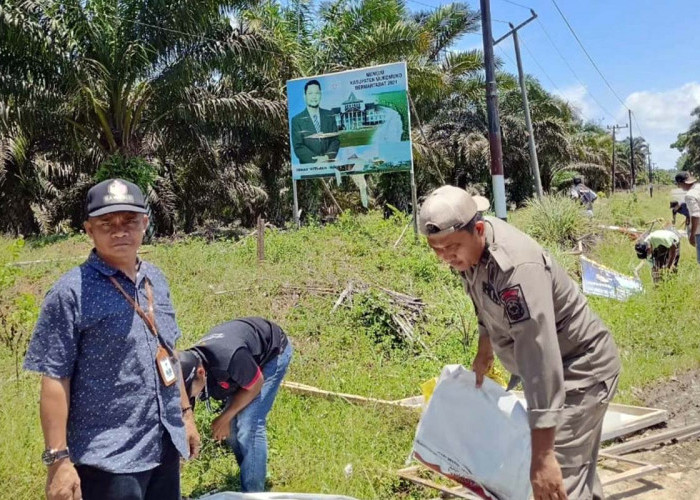 Warga Rebutan Ambil Kayu APK Caleg, Bawaslu Senyum Karena Merasa Terbantu 