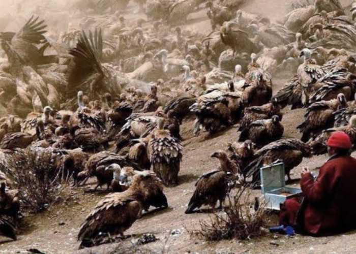 Tradisi Pemakaman Langit, Jenazah Suku Tibet Menjadi Makanan Burung